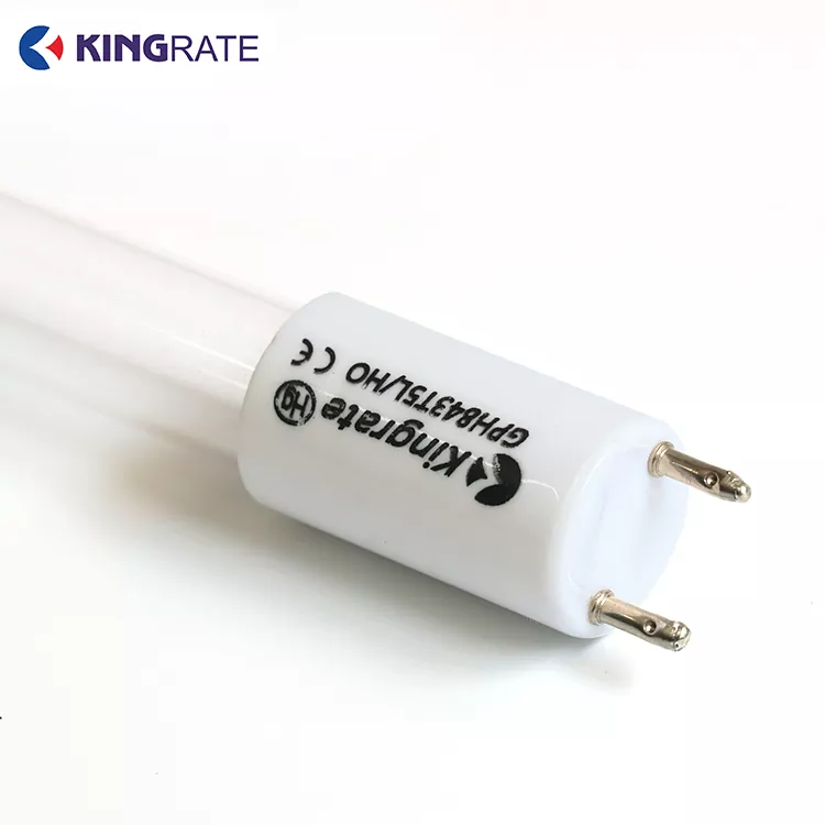 High Engergy Dual-Band UV Lamp