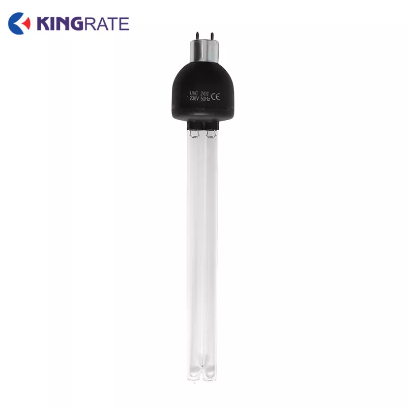 Self-ballasted Compact UV Lamp