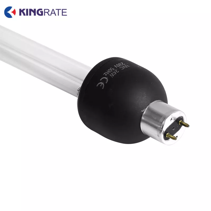 Self-ballasted Compact UV Lamp